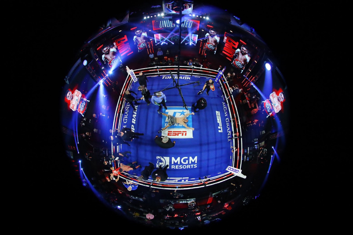 Teofimo in the ring